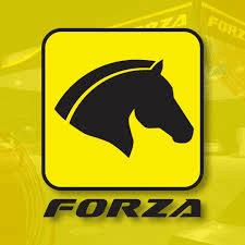 Forza